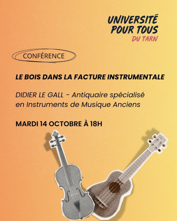 LE BOIS DANS LA FACTURE INSTRUMENTALE